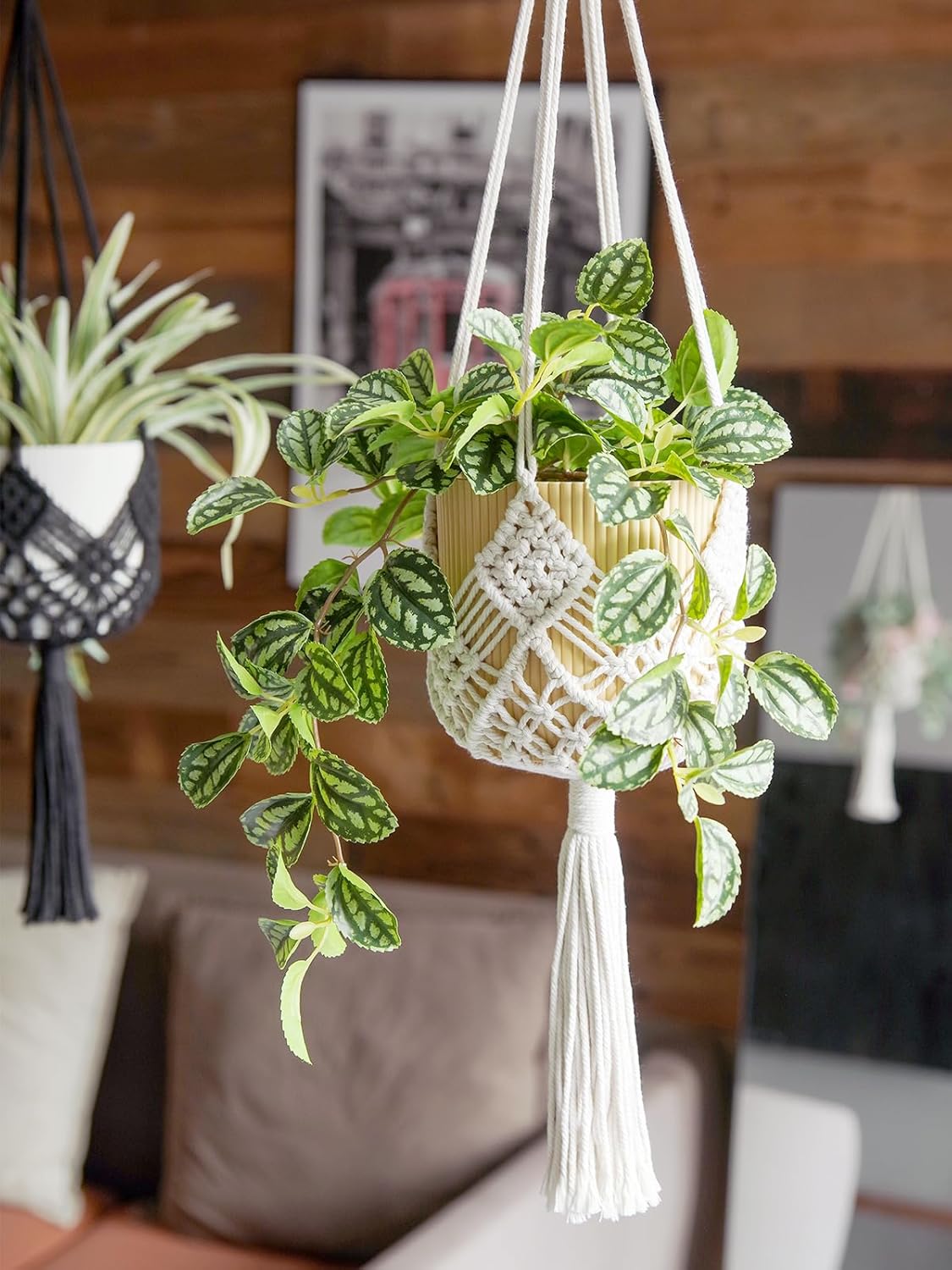 Skiennix Macrame Plant Hangers - Stylish Hanging Planters for 8-Inch Pots | 2-Pack, White