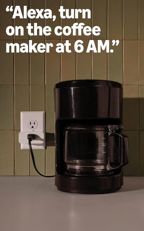 Amazon Smart Plug - Works with Alexa | Effortless Setup for Endless Smart Home Possibilities