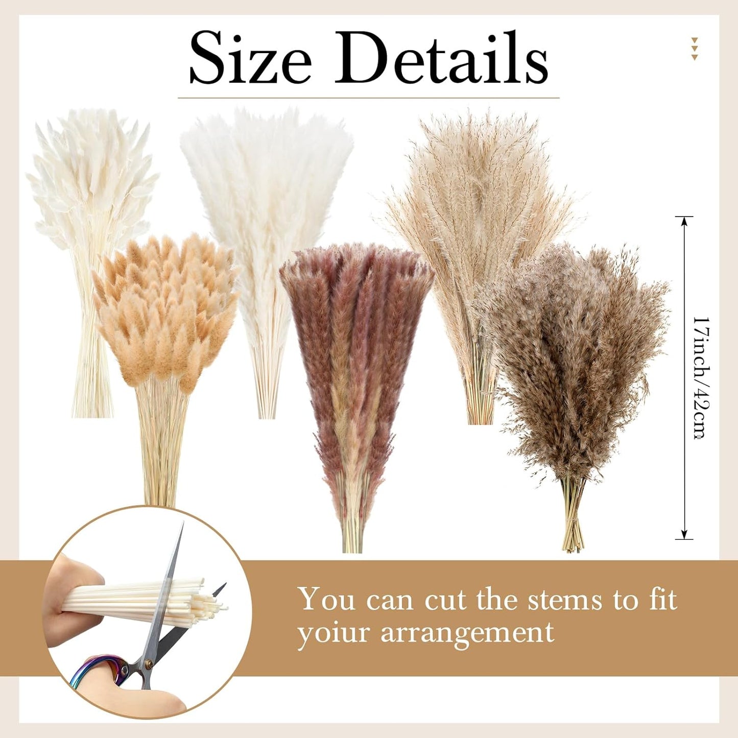 Treela 650 Pcs Dried Pampas Grass Decor Bulk 17" Dried Bunny Tail Fluffy Pompous Pampas Natural Reed Grass Bouquet Wedding Boho Dried Flowers for Home Table Party Decor(Stylish)
