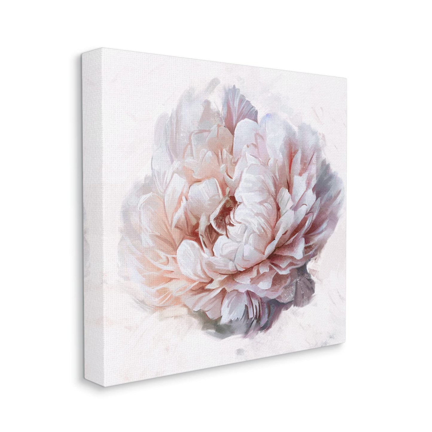Stupell Industries 'Detailed Peony Petals', Canvas Art, 36 x 36 Inches, Easy to Hang and Sturdy, Made in USA, by Ziwei Li