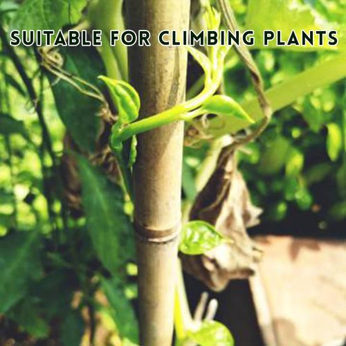 Bamboo Garden Stakes by [Brand Name] - 18-Inch Natural Plant Support with Twist Ties | 32 Pcs for Tomatoes & Climbing Plants