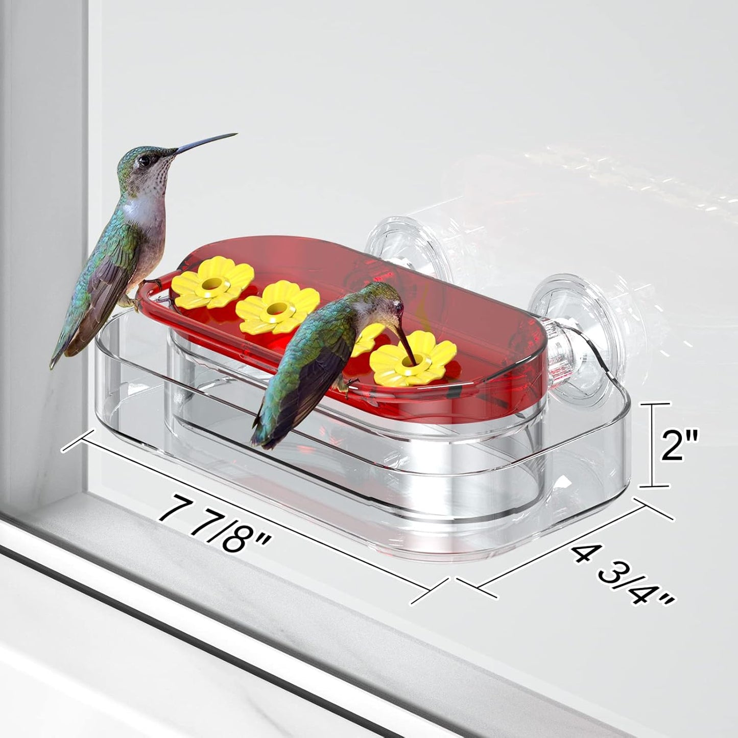 Redboat Hummingbird Feeder - 2 Pack Window Design with Strong Suction Cups & 4 Feeding Ports | Easy Clean, 10oz