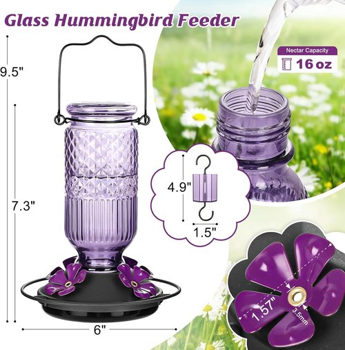 FEED GARDEN Glass Hummingbird Feeder - 16 Oz Purple & 20 Oz Red | Durable & Stylish Design