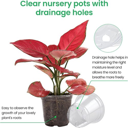 Bluepro Clear Nursery Pots - 30 Packs of Reinforced Plastic Plant Pots with Drainage Holes | 7/5/4 Inch Variety for Seedling Propagation