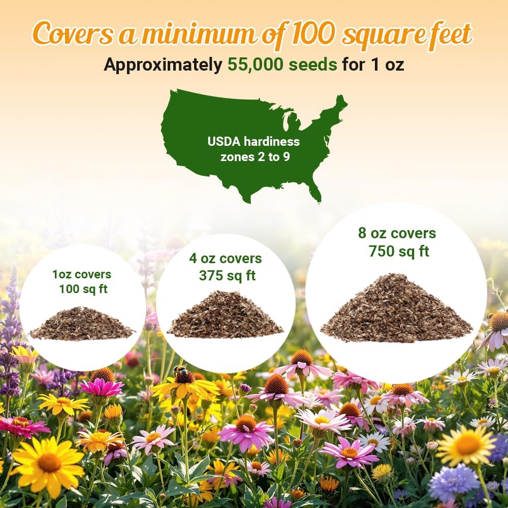 Wildflower Seeds - Drought Resistant Open-Pollinated Mix for Vibrant Perennial & Annual Blooms - 1oz Packet