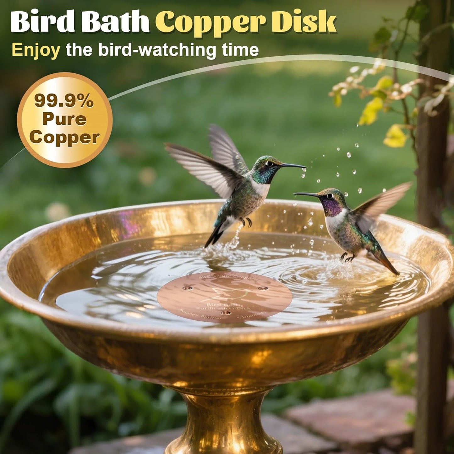 Skiennix Bird Bath Copper Disk - 1mm Thick Reinforced 99.99% Pure Copper | Durable Outdoor Accessory
