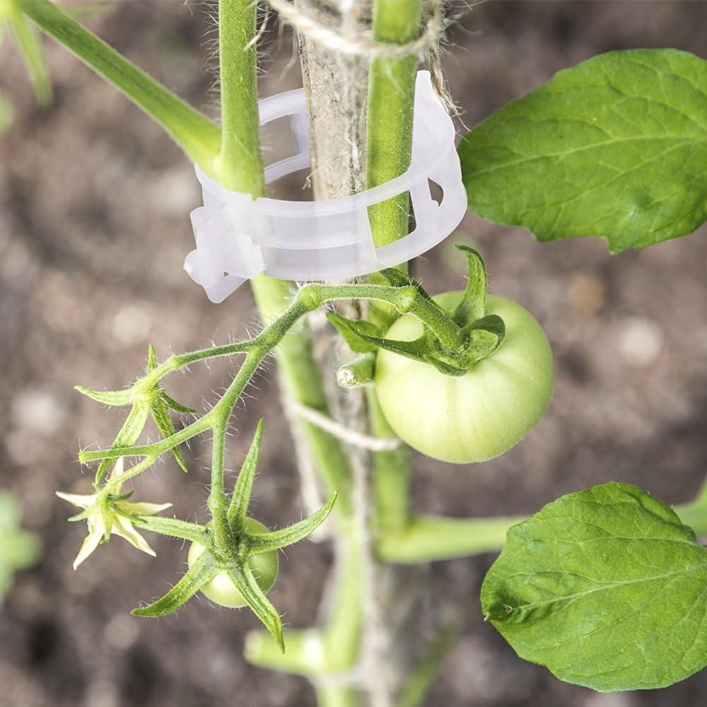 KINGLAKE Plant Support Clips - 200 Pcs Tomato Vine Trellis Clips for Healthy Upright Growth