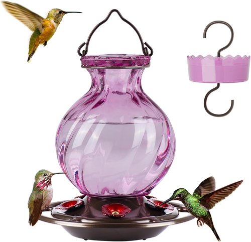 Auslar Hummingbird Feeder - 26 Ounce Purple Outdoor Feeder with Ant Moat & 5 Feeding Ports