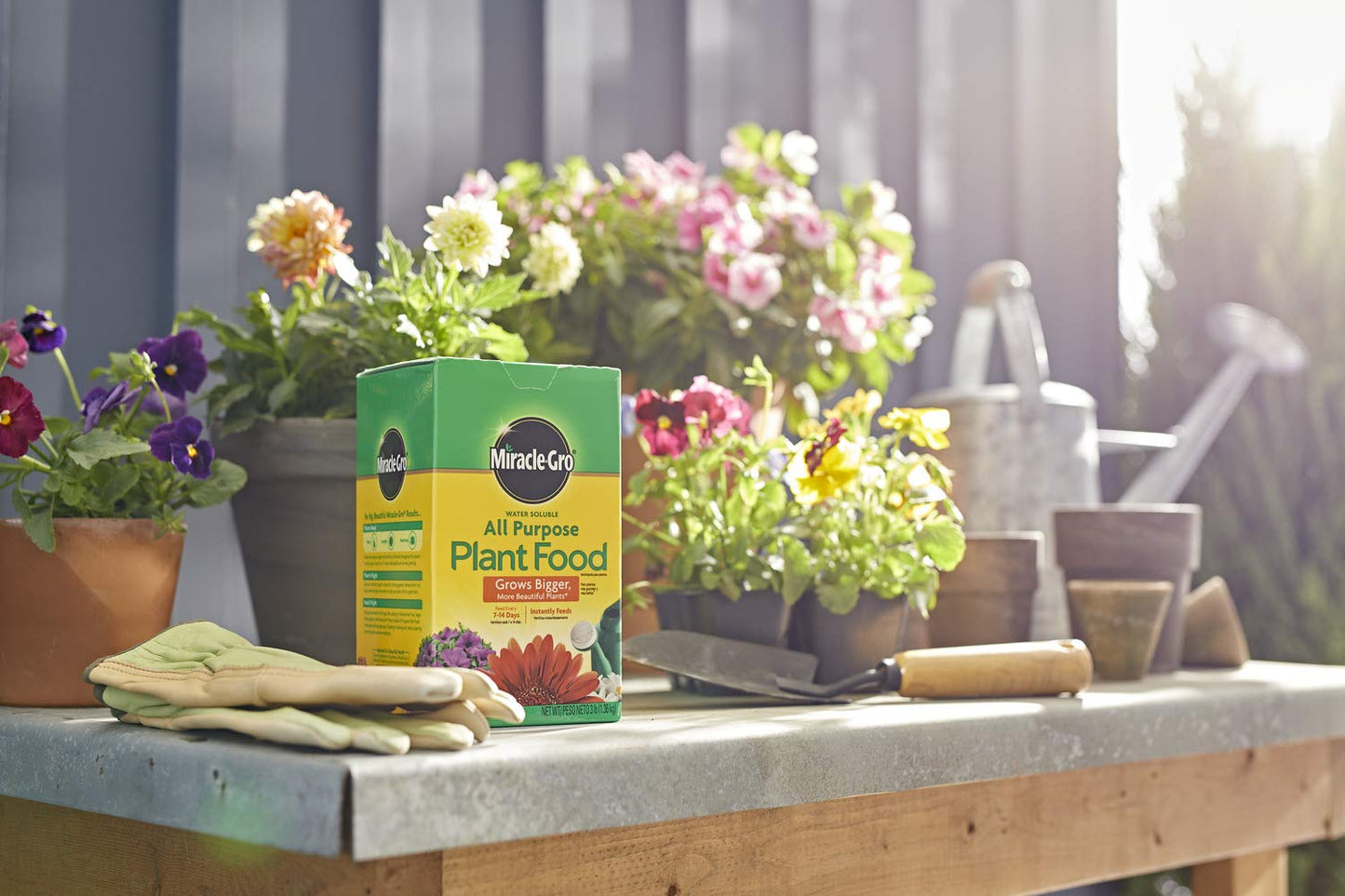 Miracle-Gro All Purpose Plant Food - Premium Fertilizer for Thriving Plants | 3 lb (6 Pack)