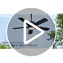 Black 42-Inch Outdoor Ceiling Fan with Light Waterproof IP65 & Remote