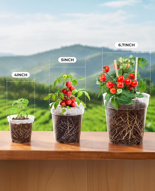 Homenote Clear Nursery Pots - 30 Pack Plastic Seedling Pots with Drainage Holes | 4/5/6.7 Inch Size