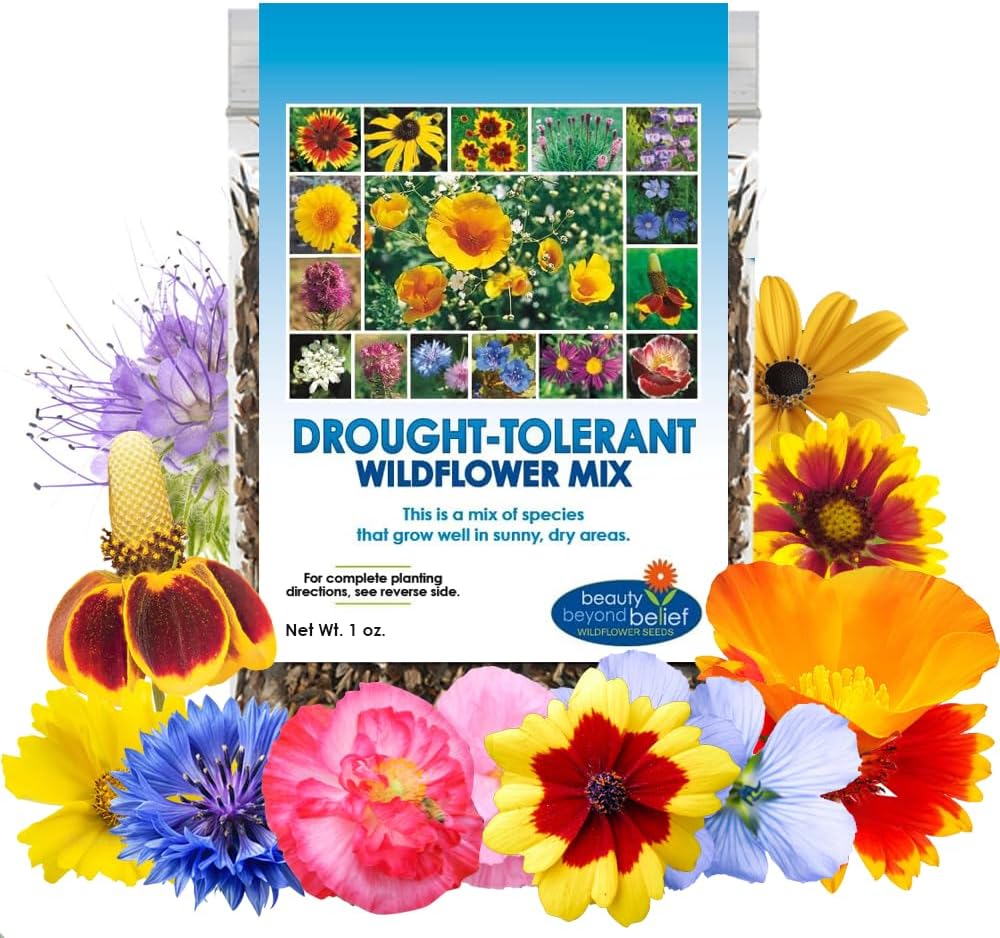 Wildflower Seeds - Drought Resistant Open-Pollinated Mix for Vibrant Perennial & Annual Blooms - 1oz Packet