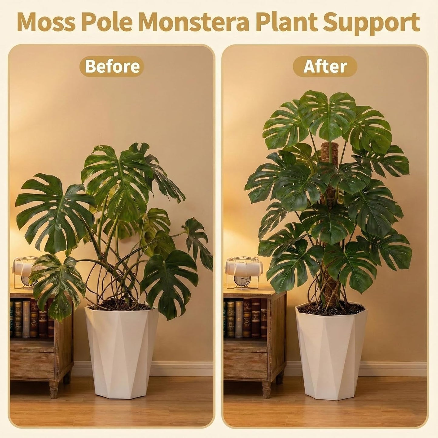 Skiennix Moss Pole Monstera Plant Support - Two 28" Bendable & Two 12" Stackable Coir Poles | Indoor Trellis Accessories