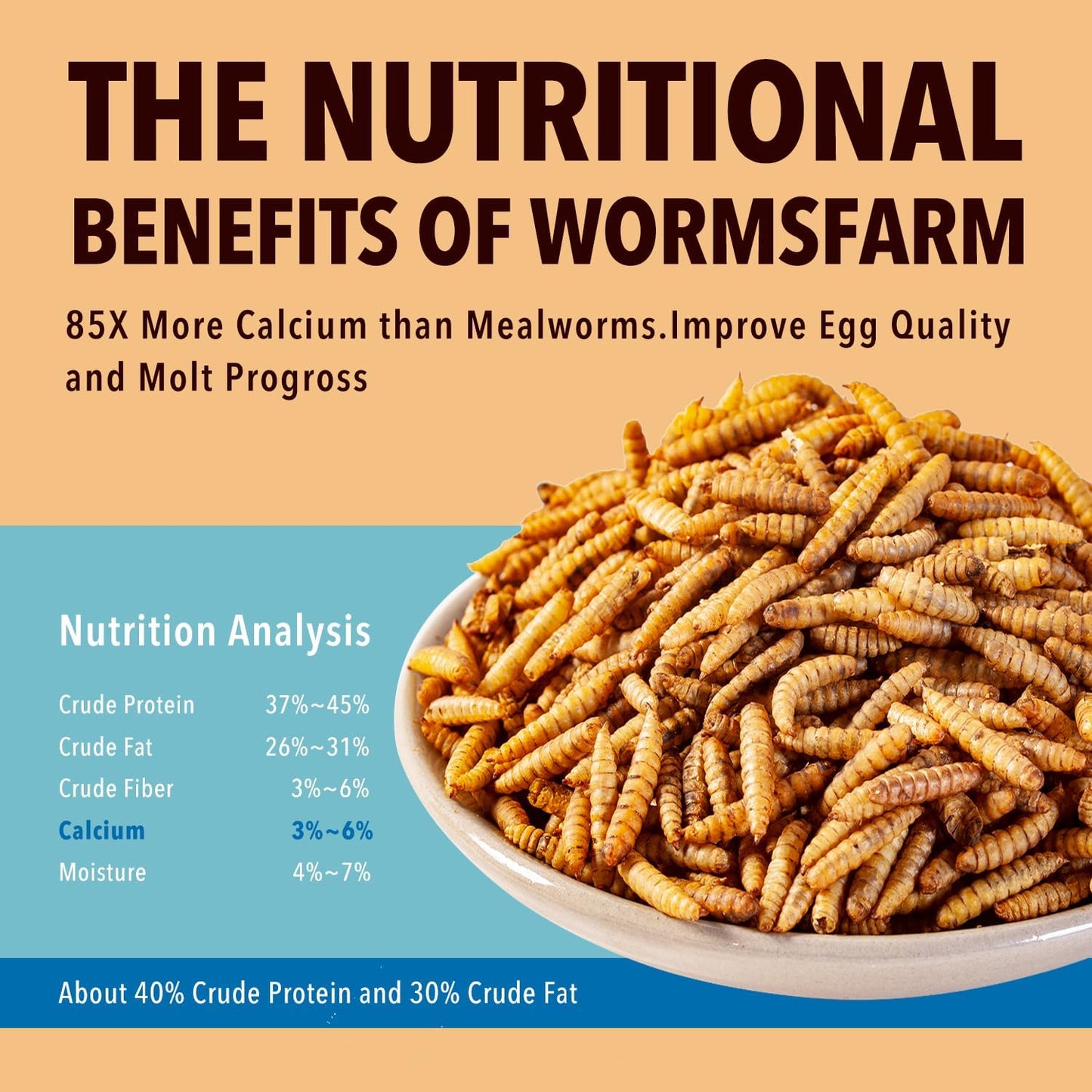 WormsFarm Dried Black Soldier Fly Larvae Treat - High Calcium for Chickens & Wild Birds | 5LB