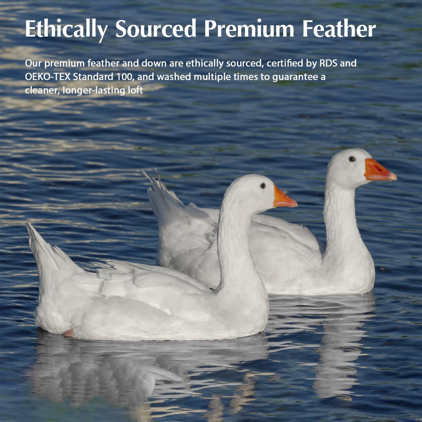 Pacific Coast | Goose Feather Down Comforter - Extra Fluffy White Duvet Insert, All-Season Luxury Bedding (Queen Size, 90"x90")