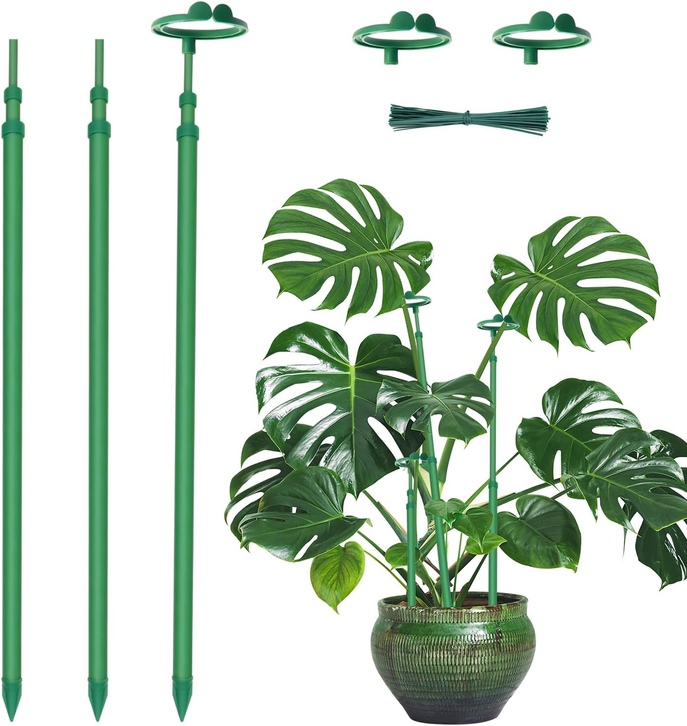 Skiennix Extendable Plant Stakes - Adjustable 17.9" to 42.3" Support for Monstera & Climbing Plants | 3-Pack