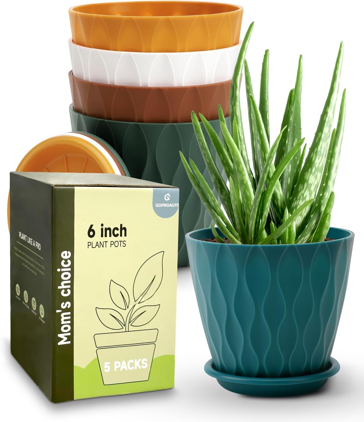 Skiennix 6-Inch Indoor Planter Pots - Drainage Hole & Tray Saucer | Multicolor, Set of 5 for Garden Plants