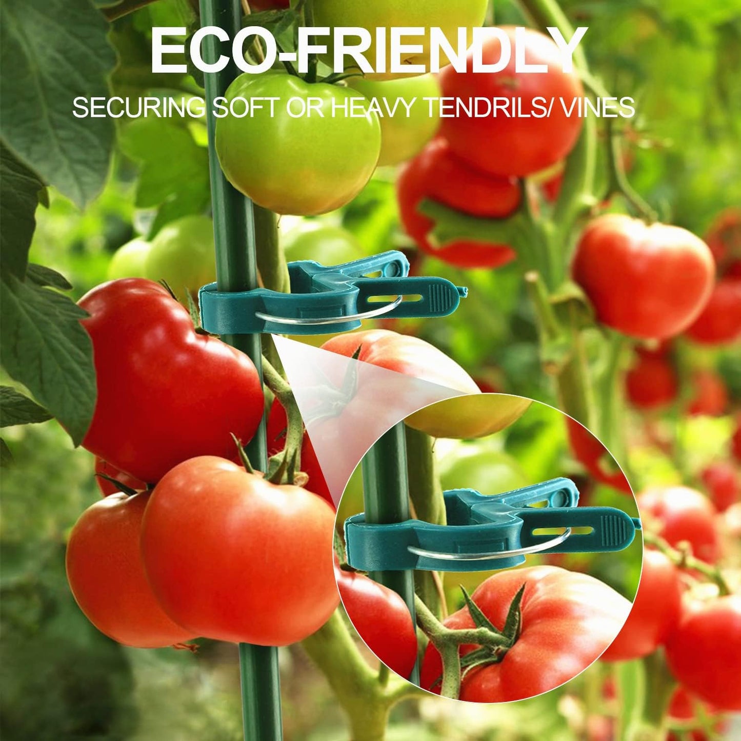 Yinghezu Plant Support Clips - 40 Pcs for Garden Tomatoes & Vines | 2 Sizes for Upright Growth