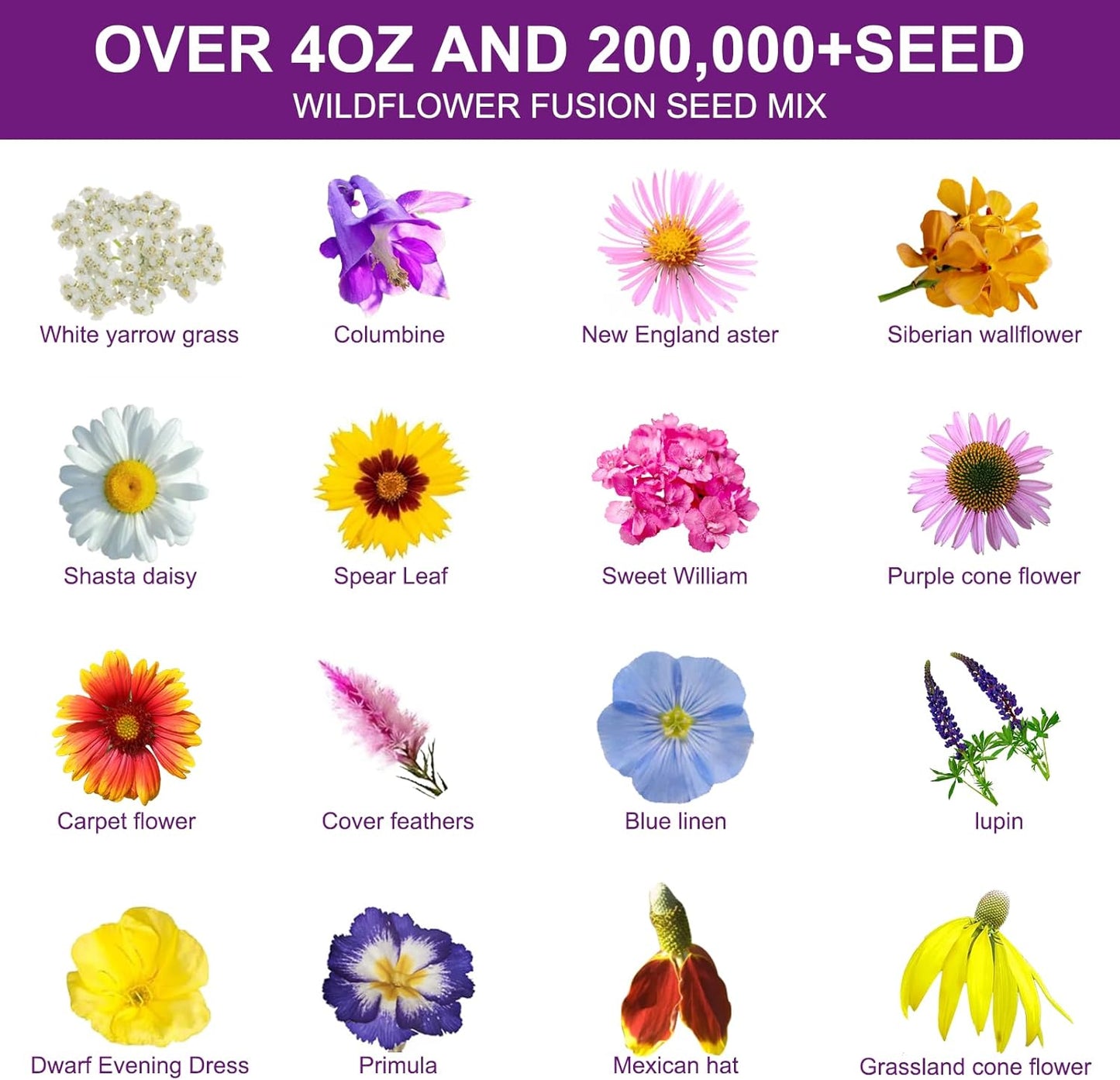 Wildflower Seeds - 200,000+ Non-GMO Heirloom Seeds Mix | 16 Perennial Varieties for Pollinator Gardens | High Germination Rate, 4oz