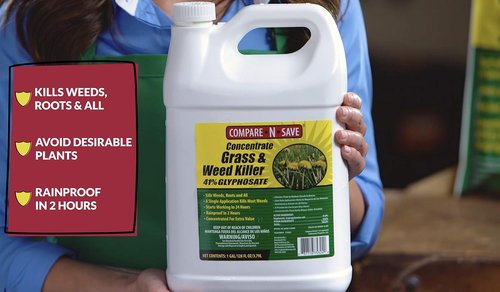 Compare-N-Save Glyphosate Concentrate - Effective Grass & Weed Killer Herbicide | 32 Ounce