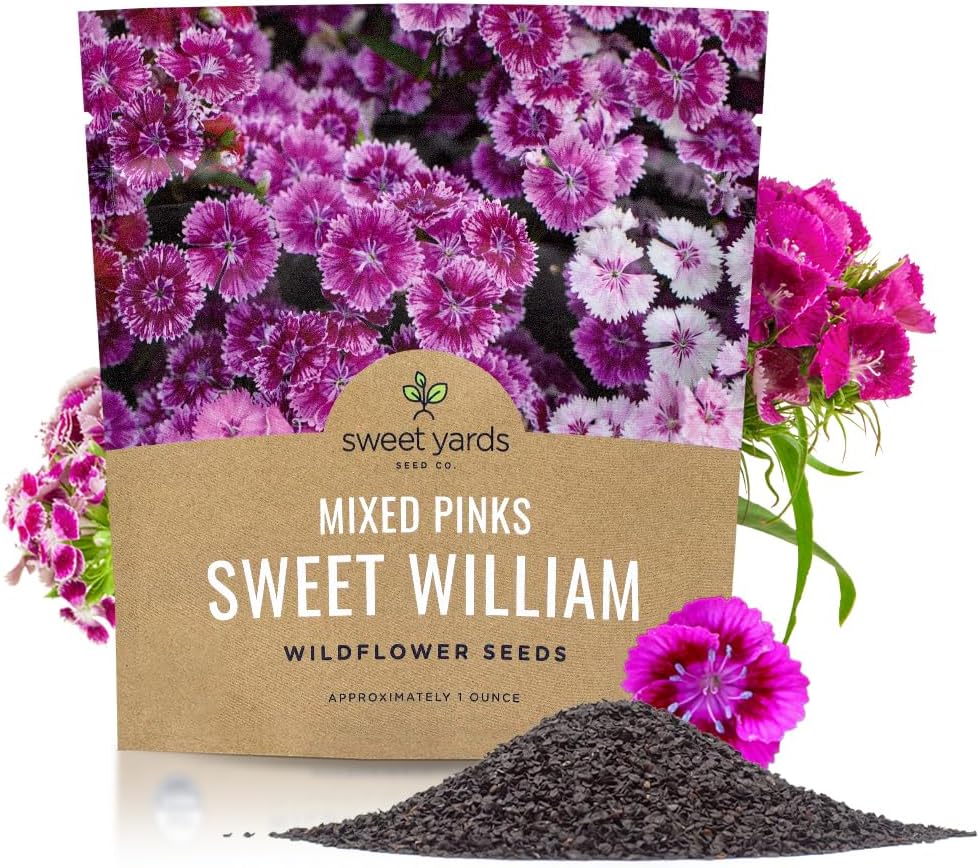 Sweet William Seeds - Mixed Pink Colors - Non-GMO Flower Seeds - Extra Large 1oz Packet
