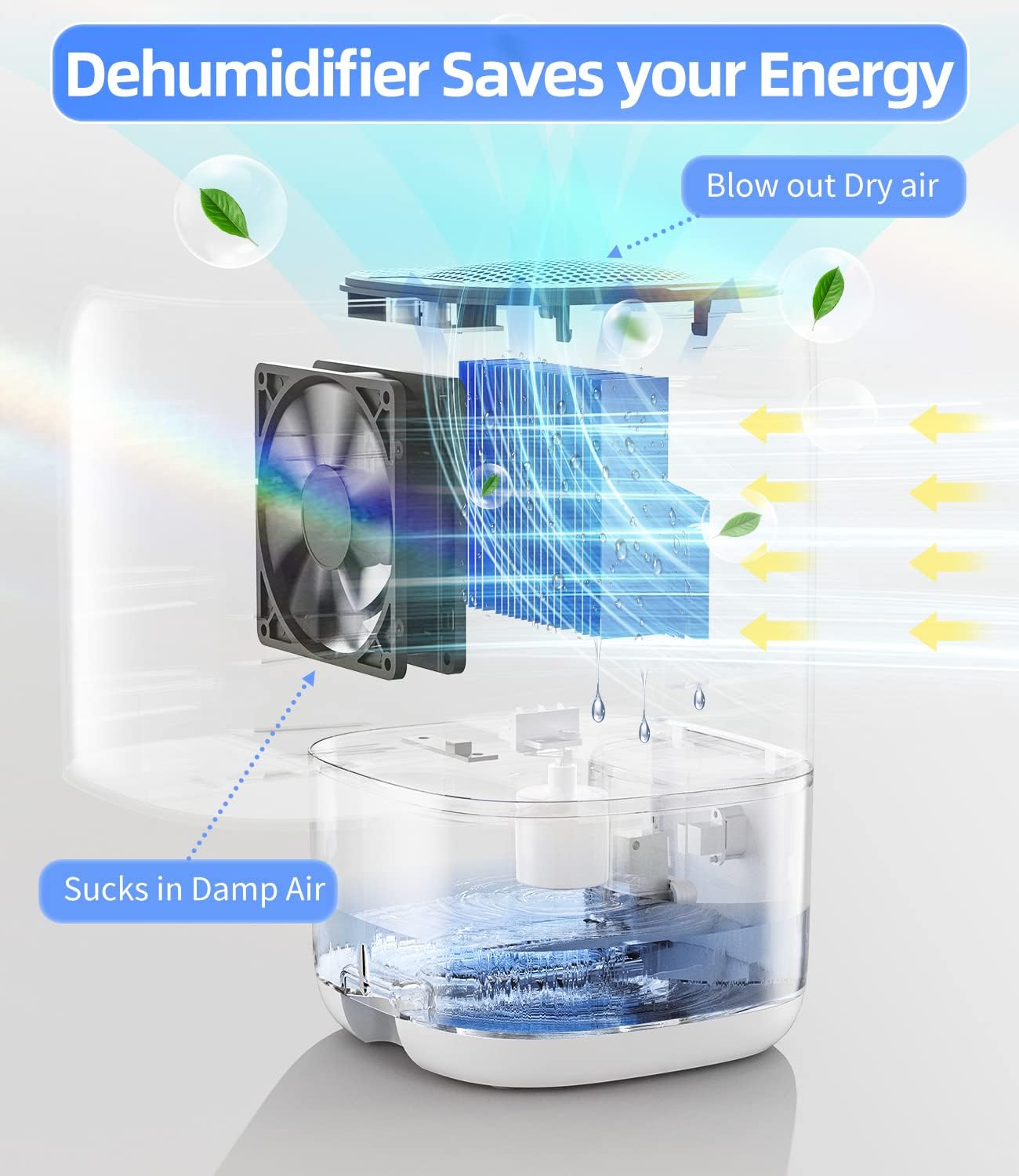 Skiennix Dehumidifier - 35 OZ Compact Design for Quiet Operation | Ideal for Bedroom, Bathroom, RV, and Closet