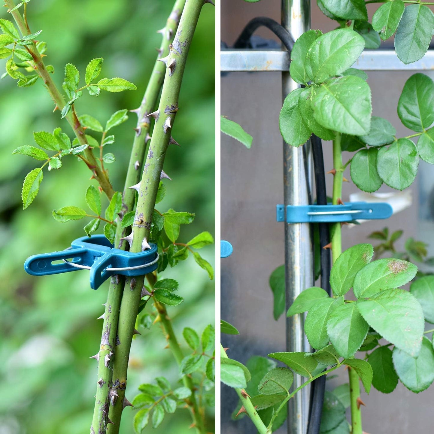 PERSZEN Plant Clips - 60PCS Adjustable Reusable Garden Supports for Flowers, Vines & Vegetables
