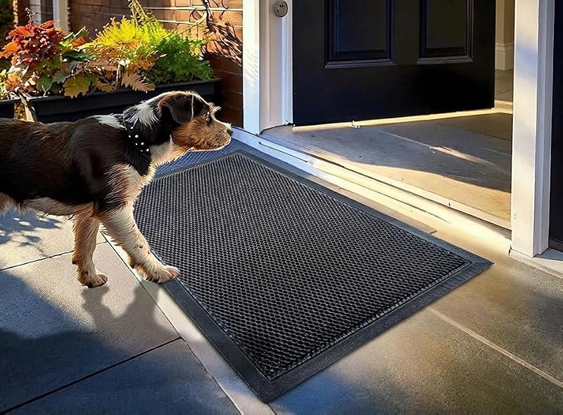 Muddy Mat Meshy Mat Door Mat 1'11" x 2'11" Black Heavy-Duty Floor Mat