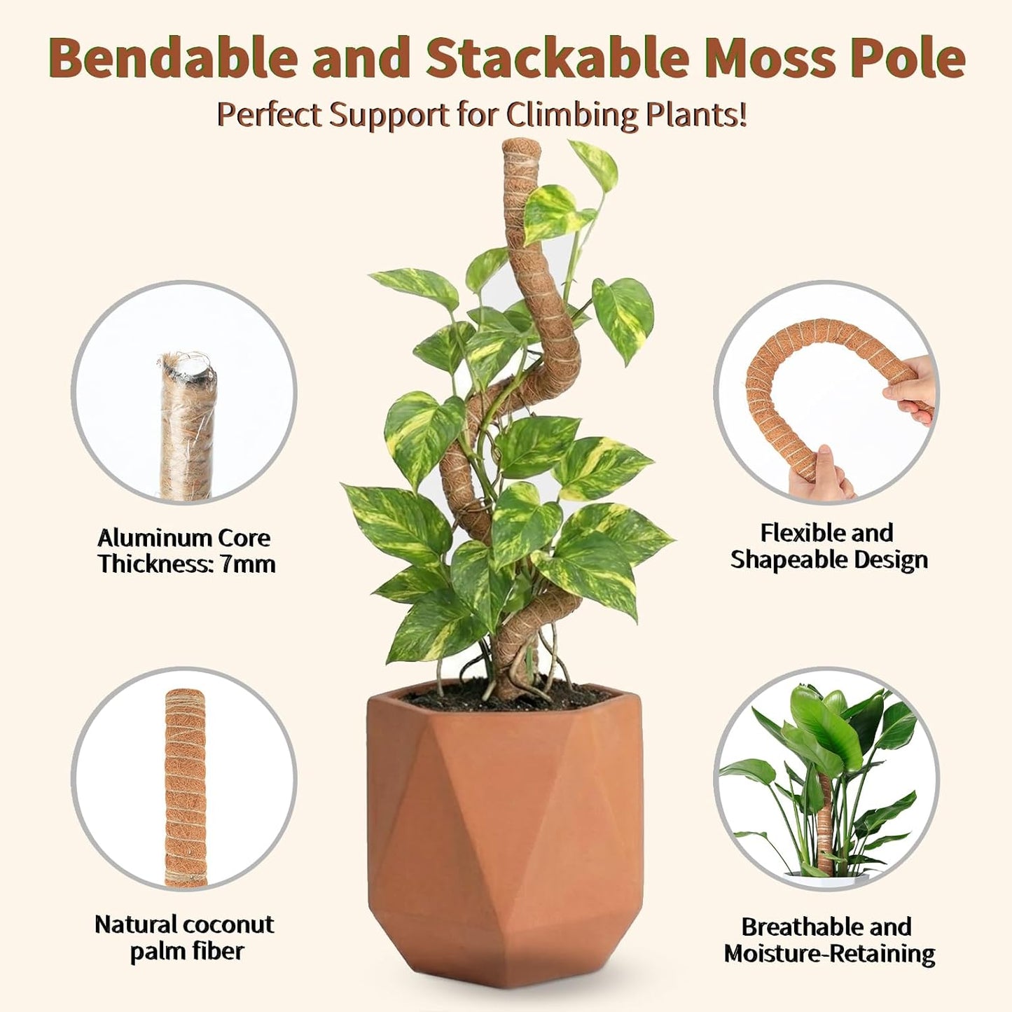 Skiennix Moss Pole Monstera Plant Support - Two 28" Bendable & Two 12" Stackable Coir Poles | Indoor Trellis Accessories