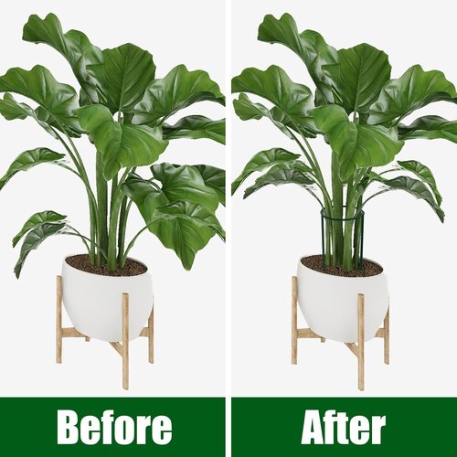 Feed Garden Plant Support Stakes - 6 Pack Metal Peony Cages | 10" Wide x 16" High Green Rings for Tomatoes & Hydrangeas