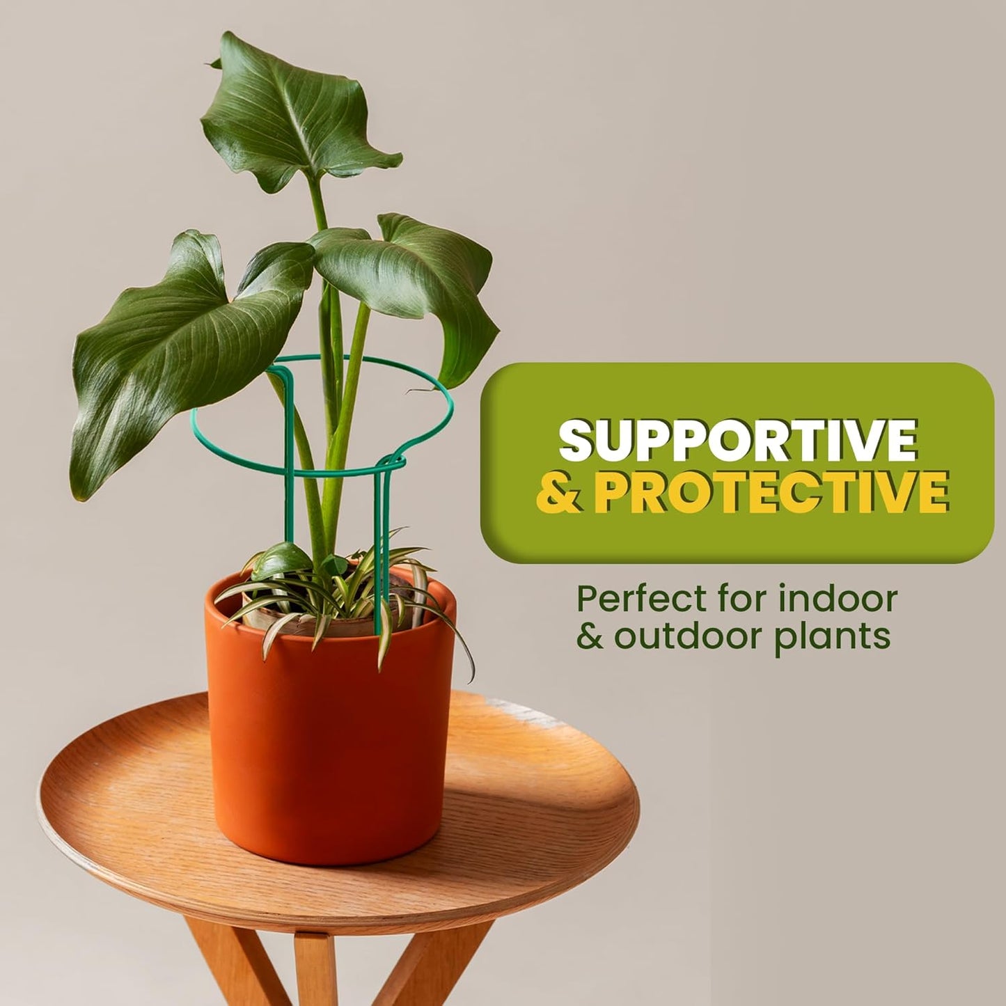 Plant Support Stakes | 12 Pack Tall Garden Stakes for Indoor & Outdoor Use - Ideal for Peonies, Hydrangeas & Roses (10" W x 16" - 24" H)