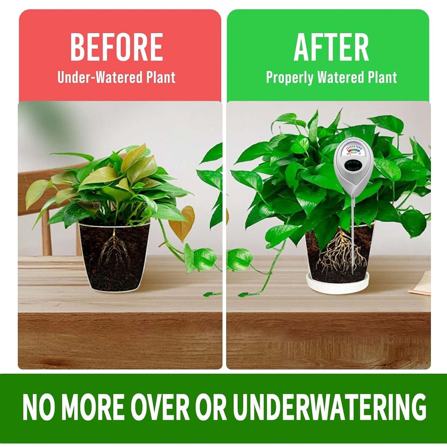 Skiennix Plant Moisture Meter - Accurate Soil Moisture Sensor for Gardening | Green & White