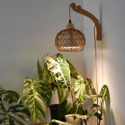 Bstrip Hanging Grow Lights - 18W Full Spectrum Indoor Plant Light | Boho Rattan Lantern Shade, 3800K