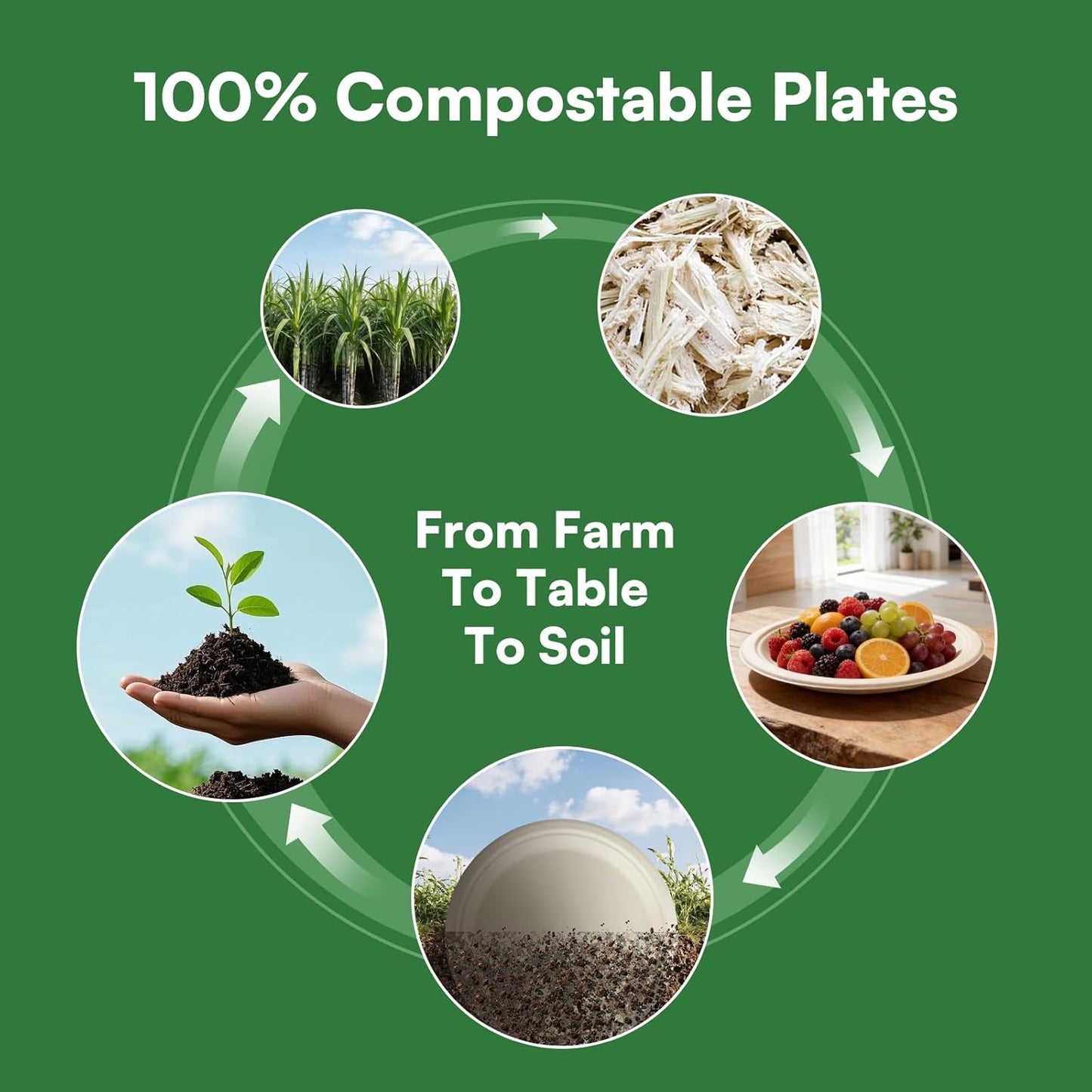 Skiennix 10-Inch Disposable Paper Plates - 100% Compostable & Eco-Friendly | Biodegradable Sugarcane Bagasse, 100 Pack