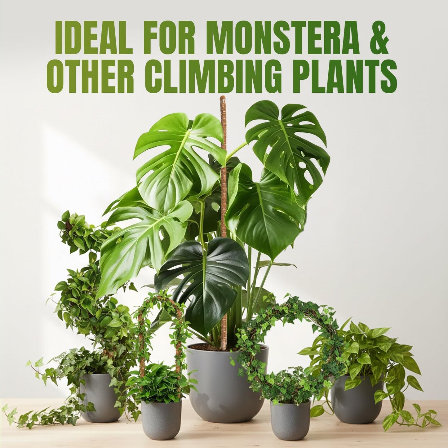 Mcbazel 63-Inch Bendable Moss Pole - Extra Tall 5.2ft Coco Coir Plant Support for Monstera & Climbing Vines | Flexible Kit with Rope & Ties