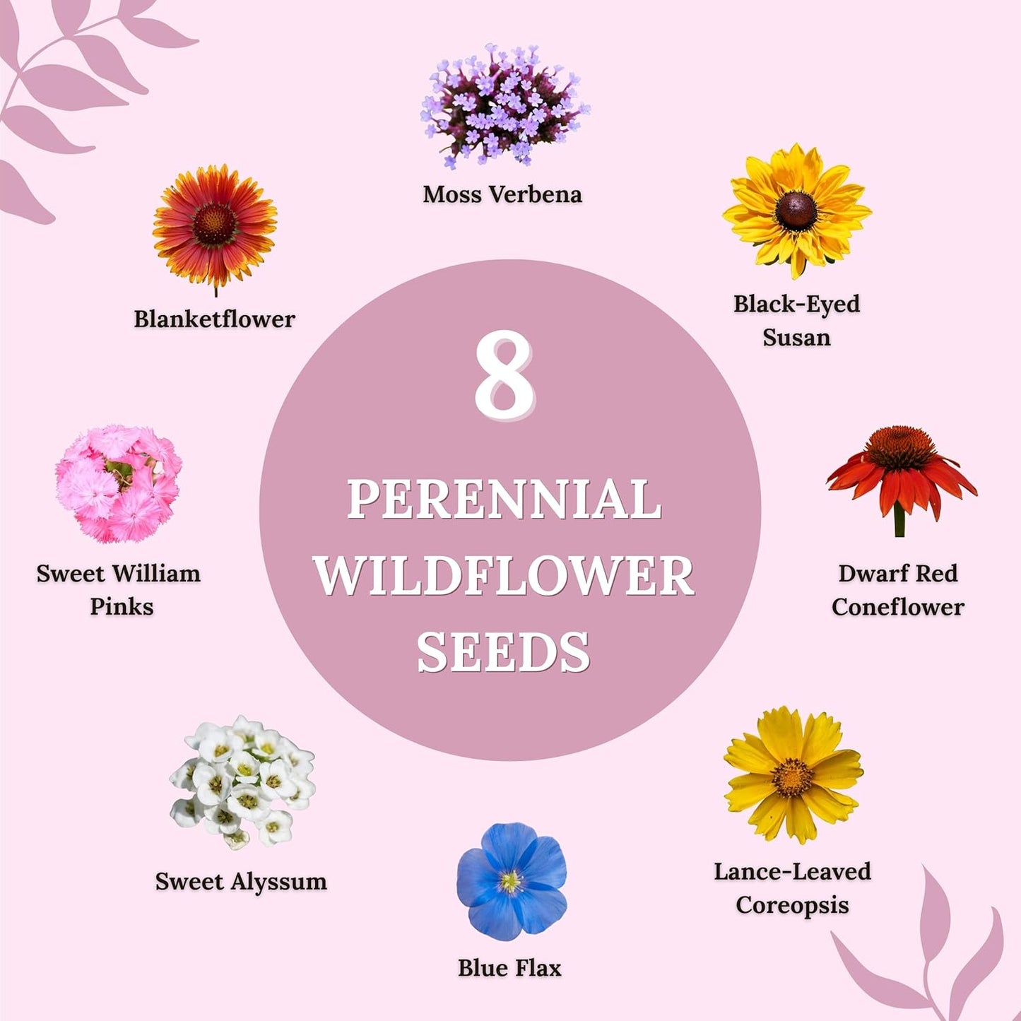 Wildflower Seeds for Bees & Butterflies - 22 Variety Pollinator Mix - 160,000+ Seeds in 4 oz Blend