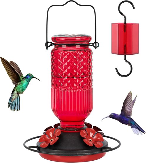 FEED GARDEN Glass Hummingbird Feeder - 16oz Outdoor Bird Feeder with Ant Moat & 4 Bee-Proof Ports