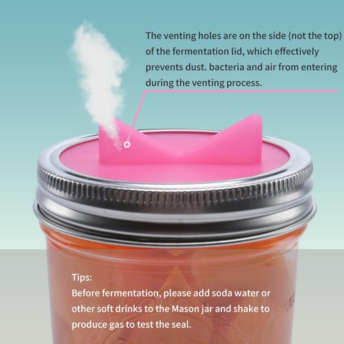 Fermentation Lids silicone waterless airlock fermenting Caps for Wide Mouth Mason Jar(Excluding rings) (4 Lids with Airlock)