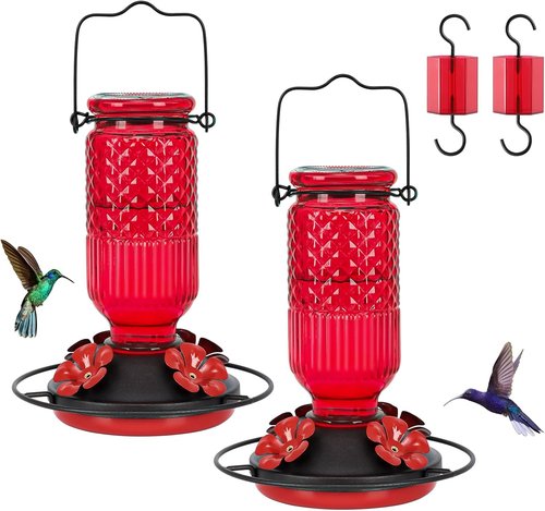 FEED GARDEN Glass Hummingbird Feeder - 16oz Leak-Proof Design with Ant Moat & Bee Guards