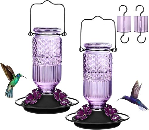FEED GARDEN Glass Hummingbird Feeder - 16 Oz Outdoor Feeder with 4 Bee Guard Ports & Ant Moat | Purple, 2 Pack