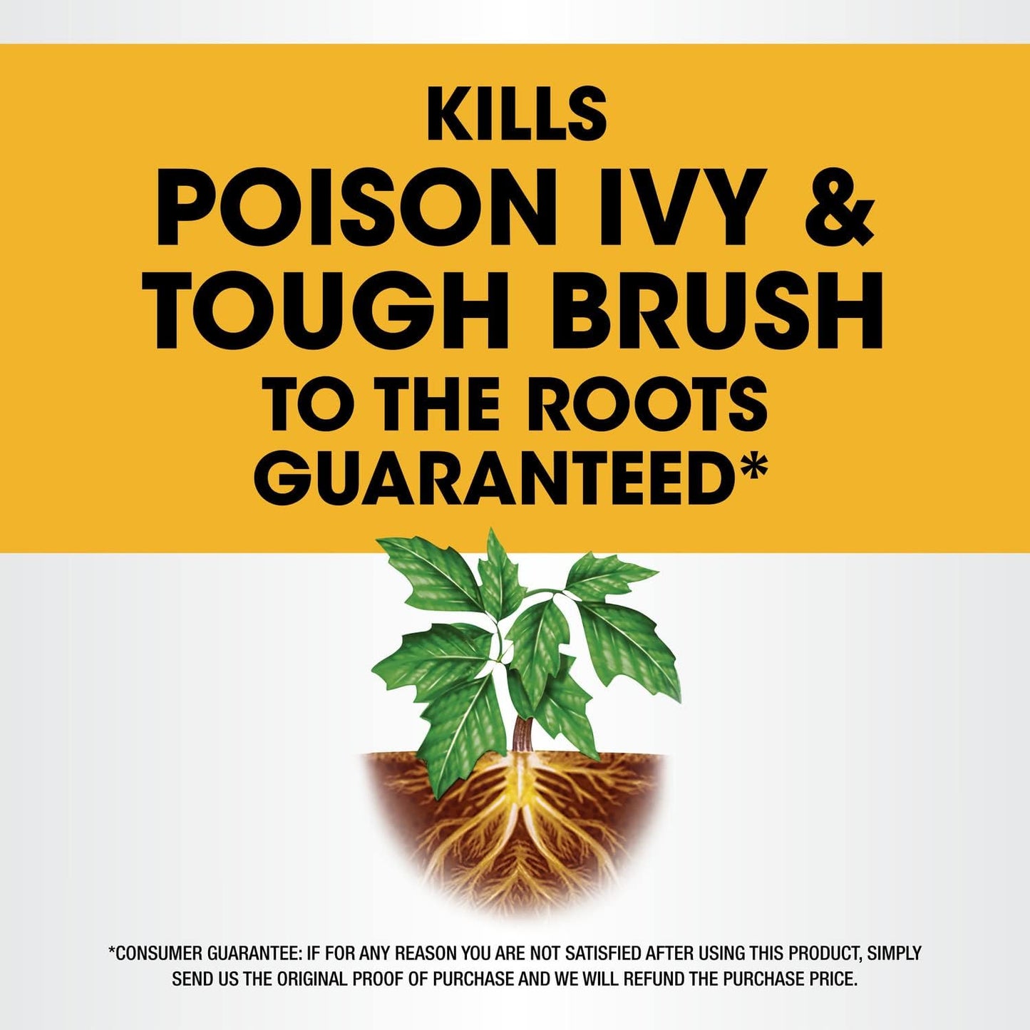 Roundup Concentrate Poison Ivy Killer - Fast-Acting Weed & Brush Control, 32 oz.