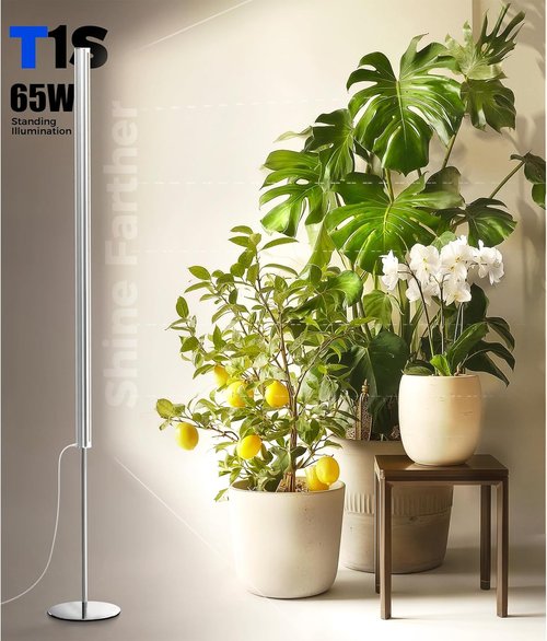 Barrina T1S Grow Light - 65W Full Spectrum Indoor Plant Light with Timer & Adjustable Height (5FT-5.6FT)