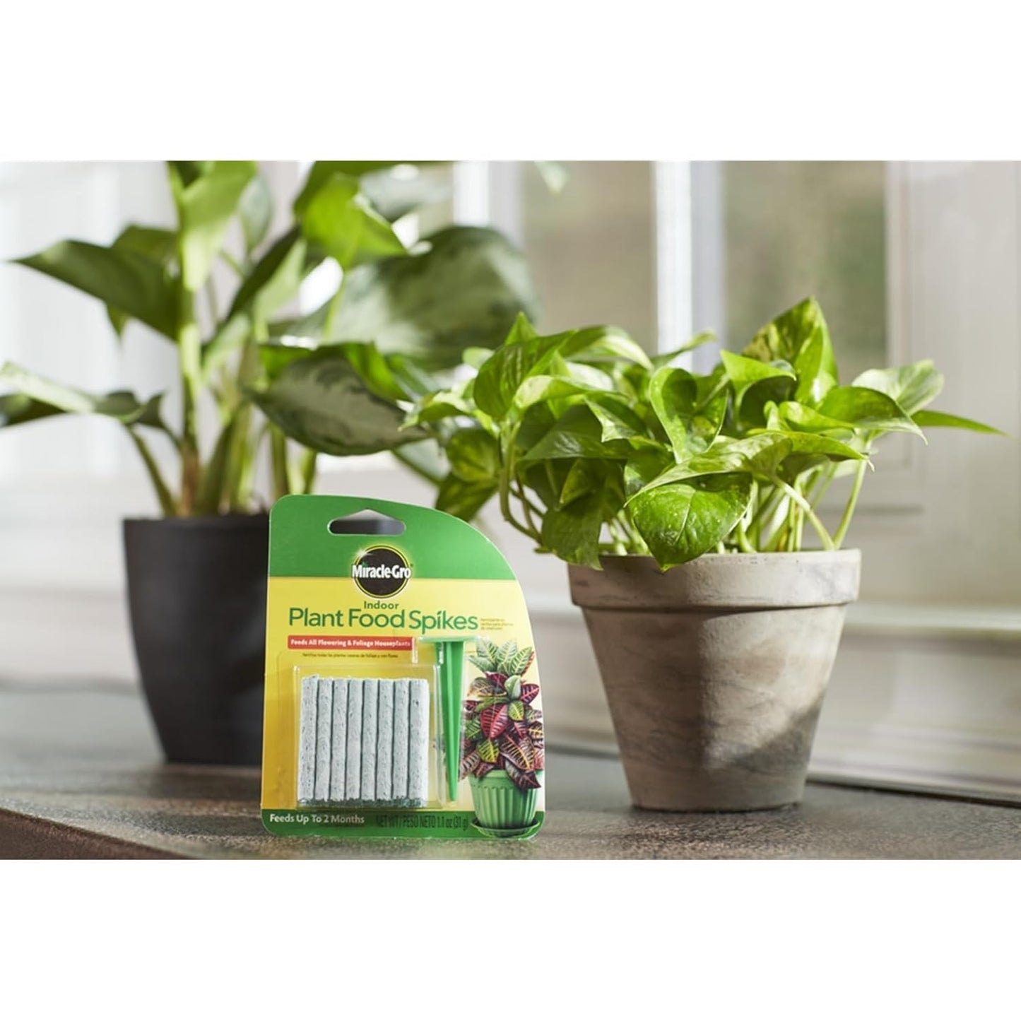 Skiennix Plant Food Spikes - 6-12-6 Formula for Healthy Growth | 1.1 oz.