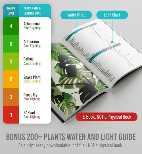 GROWIT Plant Moisture Meter - Accurate Watering Indicator for Healthy Plants - 26cm, No Battery Required