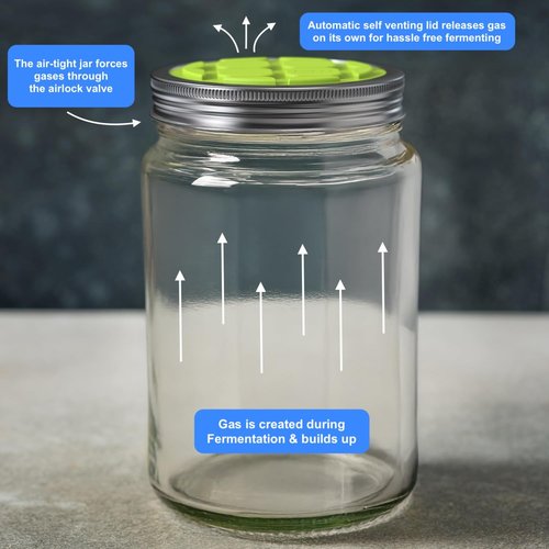 Fermentation Lids for Wide Mouth Mason Jars - One Way Waterless Airlock Valve - BPA-Free, Self-Burping Silicone Lids, 4 Pack (Blue, Red, Green, Purple)