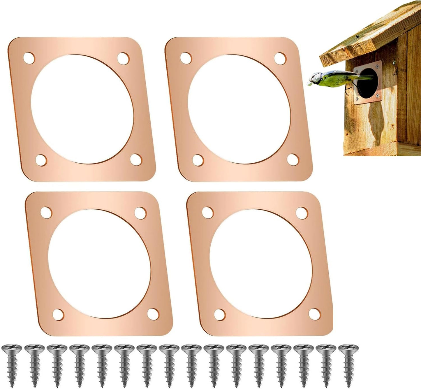 Skiennix Birdhouse Predator Guard - Copper Portal Metal Protector for Eastern Bluebirds | 1.5-Inch Hole