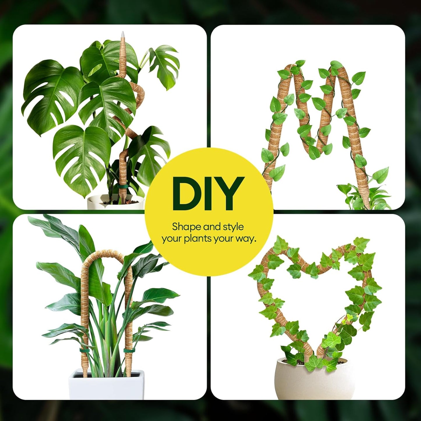 Maygrove 28” Bendable Moss Pole | 3-Pack Plant Support for Monstera & Climbing Indoor Plants