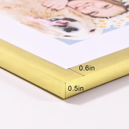 decorUhome 12x16 Picture Frame Set of 10, Display Photos 8.5x11 with Mat or 12x16 Unmatted for Picture Frames Collage Wall Decor, Gold