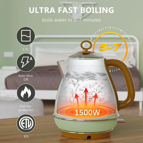 Evoloop Electric Kettle - 1.7L BPA-Free Stainless Steel Tea Boiler with Auto Shut-Off & Boil-Dry Protection