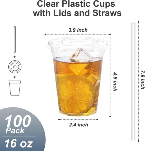 Dealusy 16 oz Clear Plastic Cups - 100 Pack with Lids & Straws | Sturdy, Food Safe Iced Coffee & Smoothie Cups